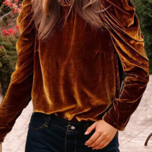 Chestnut Frilled Collar Puff Sleeve Velvet Top