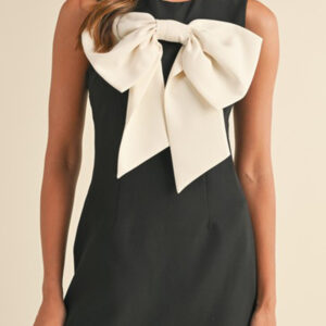 Black Contrast Bowknot Applique Crew Neck Sleeveless Mini Dress