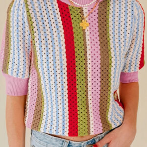 Multicolour Striped Pointelle Knit Short Sleeve Sweater